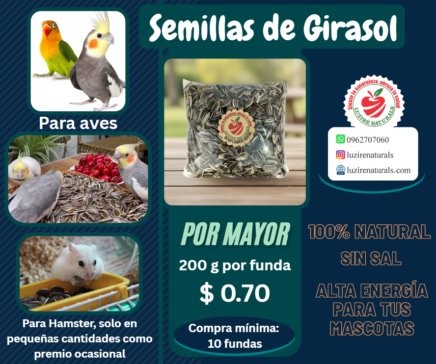 Semillas de girasol para aves y hamsters
