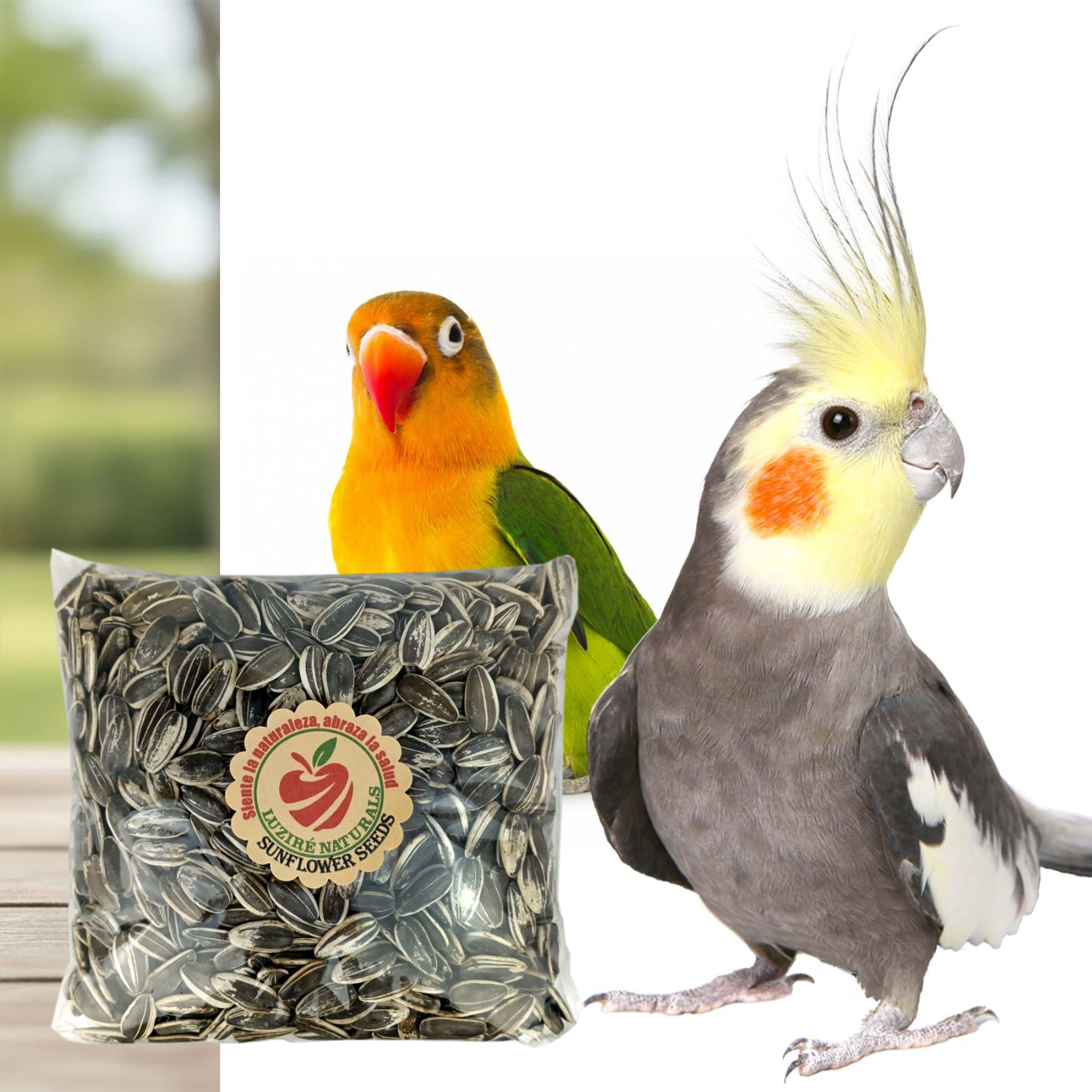 Semillas de girasol para aves y hamsters